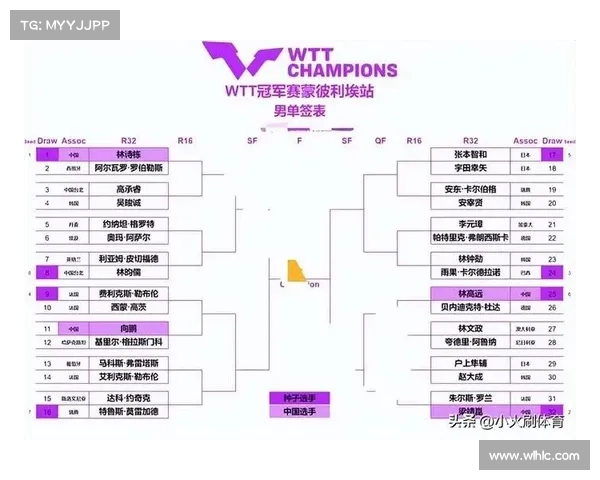 赛程是啥-探讨赛程安排与赛事举办的核心差异及其深远影响解析
