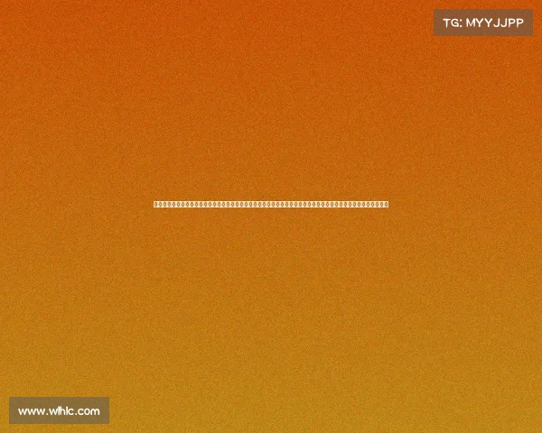 搏击比赛排名、在紧张刺激的专业搏击赛事中观众将目睹选手们如何通过艰苦训练和顽强意志在擂台上实现梦想与荣耀