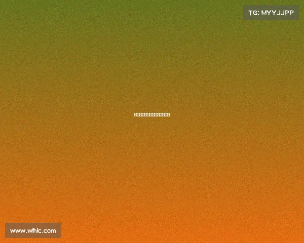 职业球类赛事、职业球赛在哪看