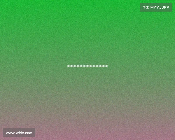 里约今日赛事、聚焦里约今日赛事热点追踪最新动态与精彩瞬间