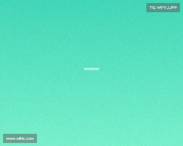 世界格斗赛事盘点排名